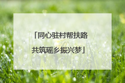 同心驻村帮扶路 共筑瑶乡振兴梦