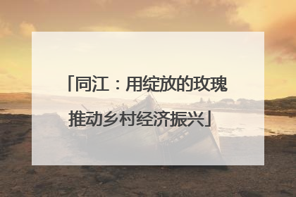 同江：用绽放的玫瑰 推动乡村经济振兴