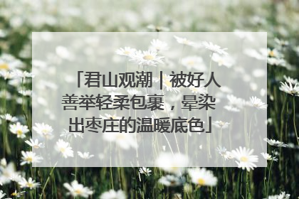 君山观潮｜被好人善举轻柔包裹，晕染出枣庄的温暖底色