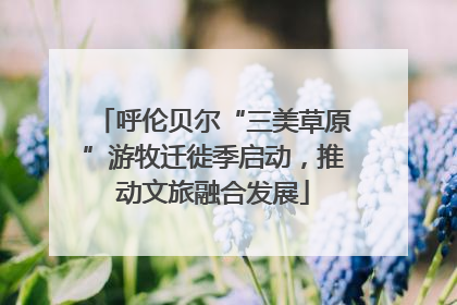 呼伦贝尔“三美草原”游牧迁徙季启动，推动文旅融合发展