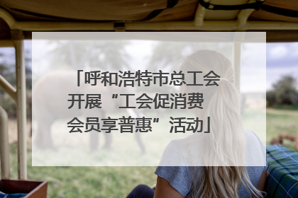 呼和浩特市总工会开展“工会促消费 会员享普惠”活动