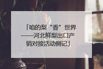 咱的梨“香”世界——河北鲜梨出口产销对接活动侧记