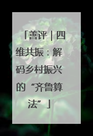 善评｜四维共振：解码乡村振兴的“齐鲁算法”