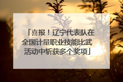 喜报！辽宁代表队在全国计量职业技能比武活动中斩获多个奖项
