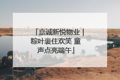 嘉诚新悦物业｜粽叶裹住欢笑 童声点亮端午