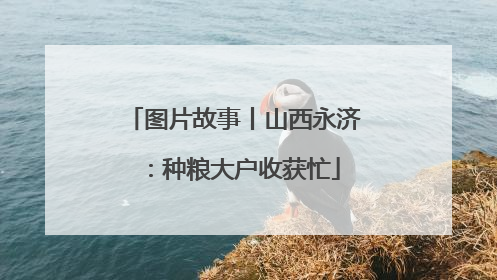图片故事丨山西永济：种粮大户收获忙