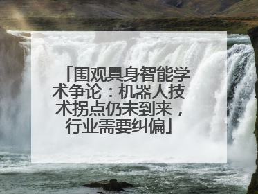 围观具身智能学术争论：机器人技术拐点仍未到来，行业需要纠偏