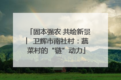 固本强农 共绘新景 ︳卫辉市南社村：蔬菜村的“链”动力