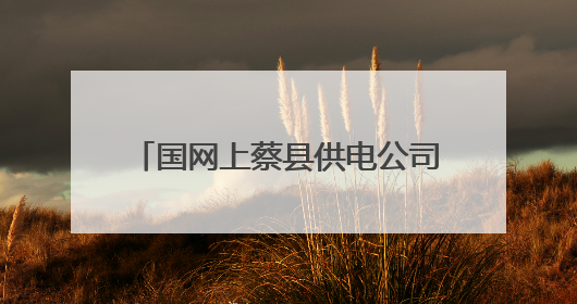 国网上蔡县供电公司：供电服务在身边 安全咨询“零距离”