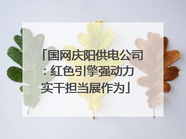 国网庆阳供电公司：红色引擎强动力 实干担当展作为