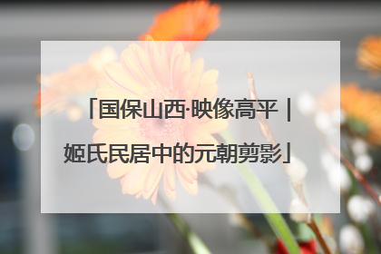 国保山西·映像高平｜姬氏民居中的元朝剪影