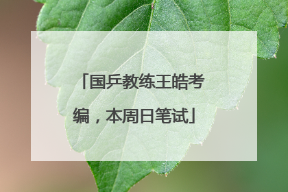 国乒教练王皓考编，本周日笔试