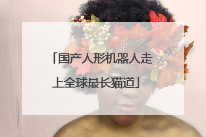 国产人形机器人走上全球最长猫道