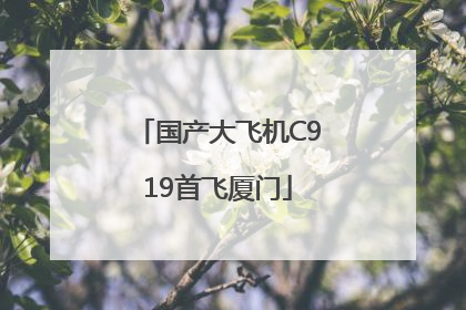 国产大飞机C919首飞厦门