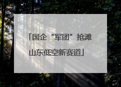 国企“军团”抢滩山东低空新赛道