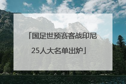 国足世预赛客战印尼25人大名单出炉