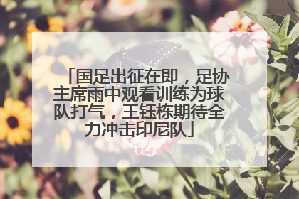 国足出征在即，足协主席雨中观看训练为球队打气，王钰栋期待全力冲击印尼队