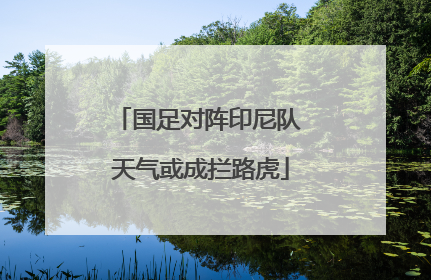 国足对阵印尼队 天气或成拦路虎