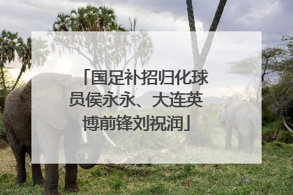 国足补招归化球员侯永永、大连英博前锋刘祝润