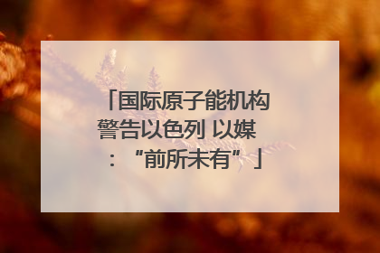 国际原子能机构警告以色列 以媒：“前所未有”