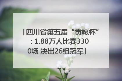 四川省第五届“贡嘎杯”：1.88万人比赛3300场 决出26组冠军