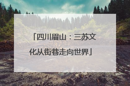 四川眉山：三苏文化从街巷走向世界