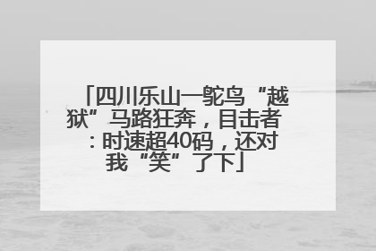 四川乐山一鸵鸟“越狱”马路狂奔，目击者：时速超40码，还对我“笑”了下