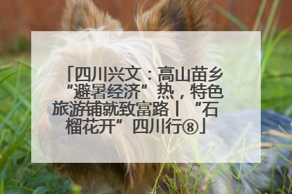 四川兴文：高山苗乡“避暑经济”热，特色旅游铺就致富路丨“石榴花开”四川行⑧