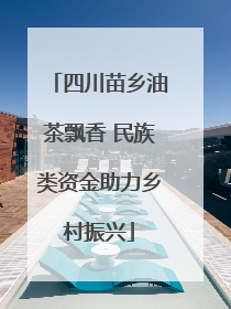 四川苗乡油茶飘香 民族类资金助力乡村振兴