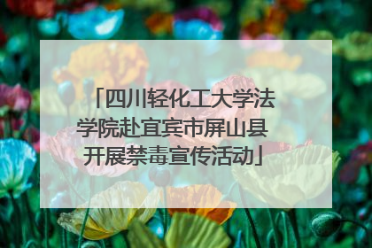 四川轻化工大学法学院赴宜宾市屏山县开展禁毒宣传活动