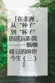 在非洲，从“种子”到“杯子”的遥远距离——一颗咖啡豆的前世今生（三）