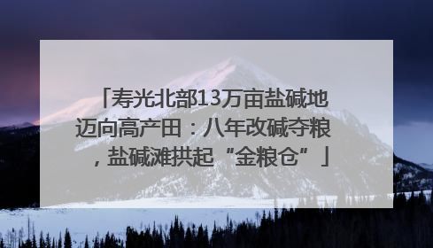寿光北部13万亩盐碱地迈向高产田：八年改碱夺粮，盐碱滩拱起“金粮仓”