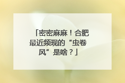 密密麻麻！合肥最近频现的“虫卷风”是啥？