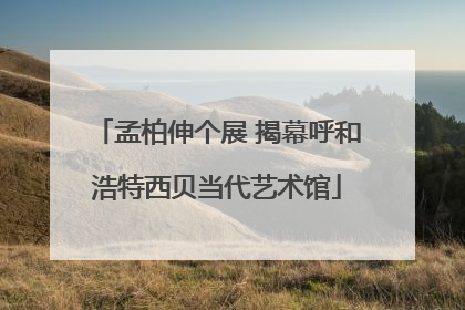 孟柏伸个展 揭幕呼和浩特西贝当代艺术馆
