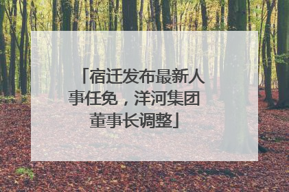 宿迁发布最新人事任免，洋河集团董事长调整