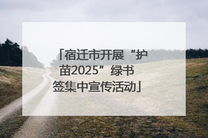 宿迁市开展“护苗2025”绿书签集中宣传活动