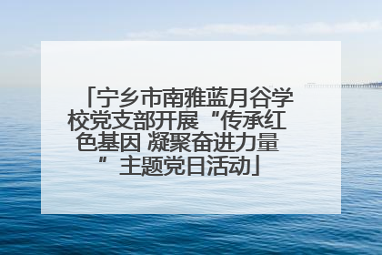 宁乡市南雅蓝月谷学校党支部开展“传承红色基因 凝聚奋进力量”主题党日活动