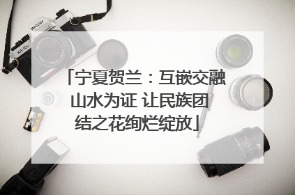 宁夏贺兰：互嵌交融 山水为证 让民族团结之花绚烂绽放