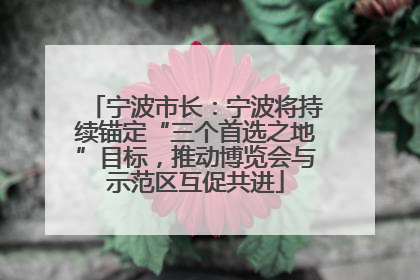 宁波市长：宁波将持续锚定“三个首选之地”目标，推动博览会与示范区互促共进