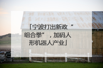 宁波打出新政“组合拳”，加码人形机器人产业