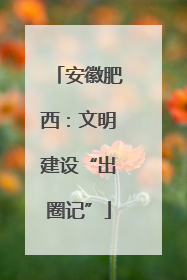 安徽肥西：文明建设“出圈记”