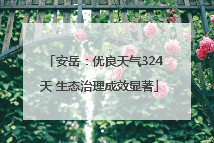 安岳：优良天气324天 生态治理成效显著