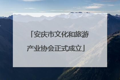 安庆市文化和旅游产业协会正式成立