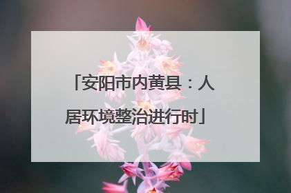 安阳市内黄县：人居环境整治进行时