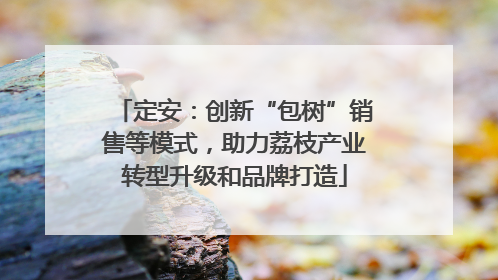 定安：创新“包树”销售等模式，助力荔枝产业转型升级和品牌打造