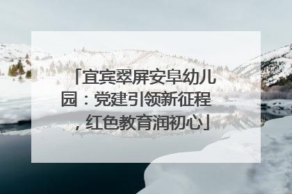 宜宾翠屏安阜幼儿园：党建引领新征程，红色教育润初心