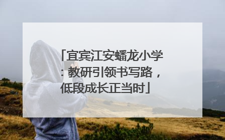 宜宾江安蟠龙小学：教研引领书写路，低段成长正当时