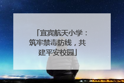 宜宾航天小学：筑牢禁毒防线，共建平安校园