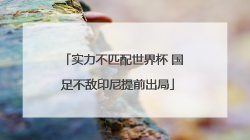 实力不匹配世界杯 国足不敌印尼提前出局