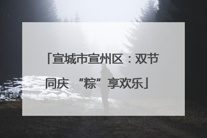 宣城市宣州区：双节同庆 “粽”享欢乐